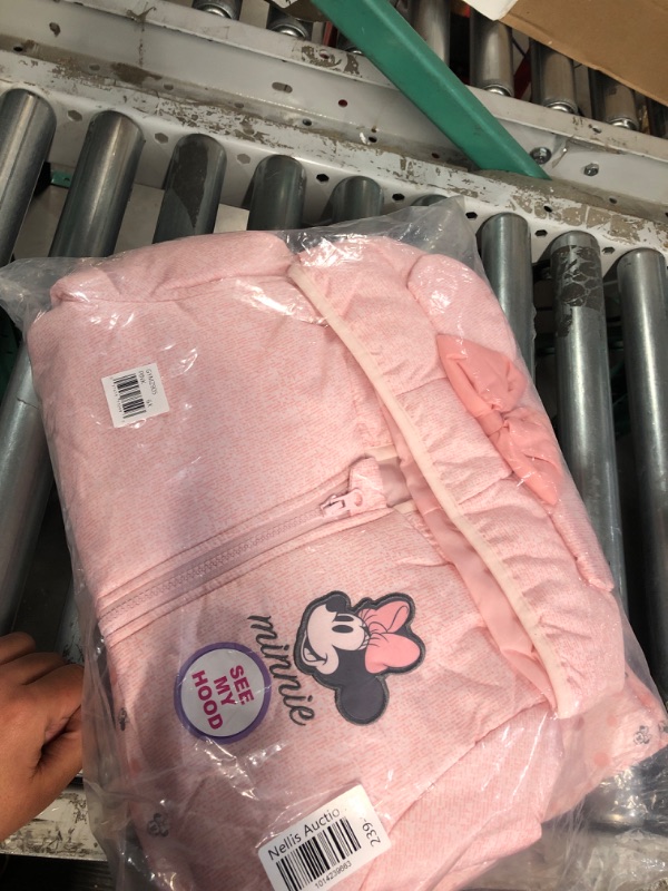 Photo 1 of minnie mouse hoodie pink 