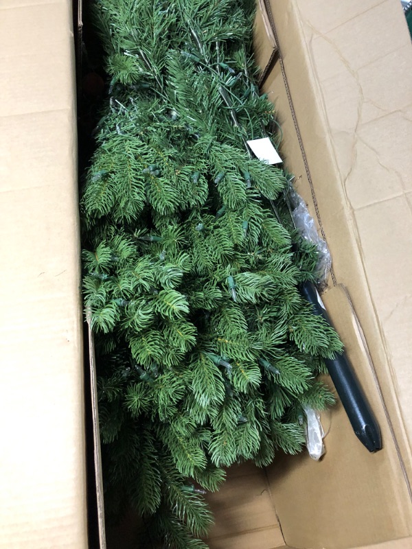 Photo 3 of **READ NOTES***National Tree Company Pre-Lit 'Feel Real' Artificial Full Downswept Christmas Tree, Green, Douglas Fir, White Lights, Includes Stand, 6.5 feet 6.5 ft