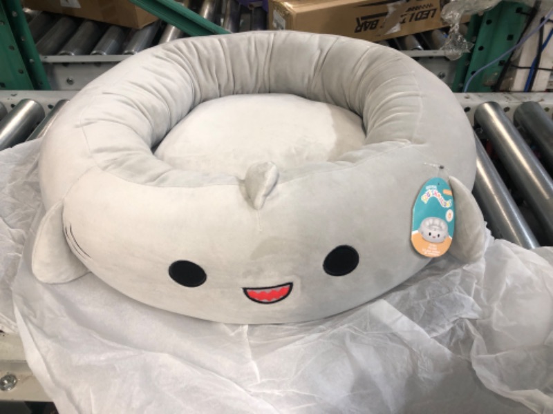 Photo 2 of Squishmallows 24-Inch Gordon Shark Pet Bed - Medium Ultrasoft Official Squishmallows Plush Pet Bed Gordon The Shark Medium 24”x24”