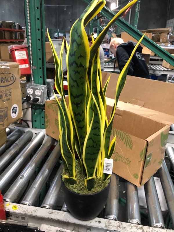 Photo 3 of Nearly Natural 26 in. Sansevieria Artificial Silk Plants, Green