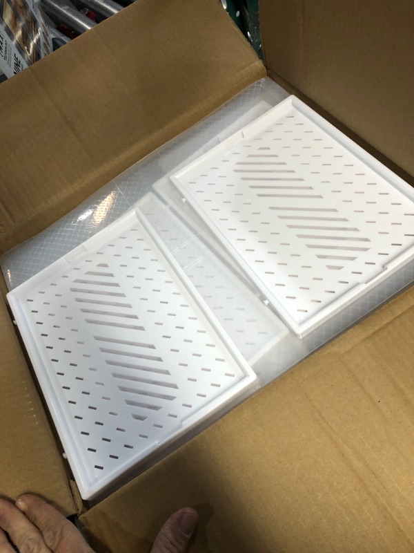 Photo 1 of SALA X-Large 12 Pack Shoe Storage Box with Magnetic Door,