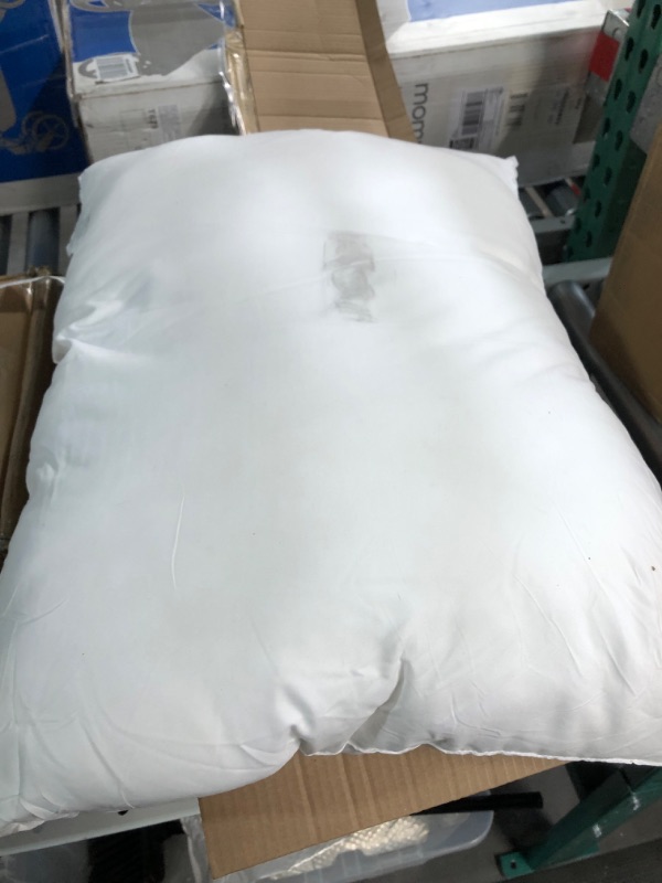 Photo 1 of ***USED & DIRTY*** 2 Pack Cotton Pillows