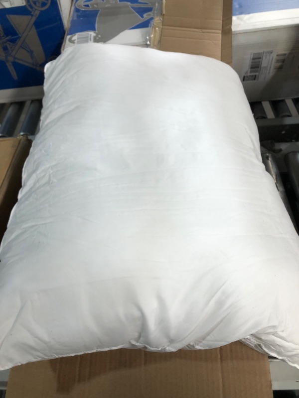 Photo 4 of ***USED & DIRTY*** 2 Pack Cotton Pillows