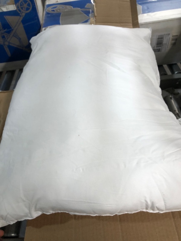 Photo 2 of ***USED & DIRTY*** 2 Pack Cotton Pillows