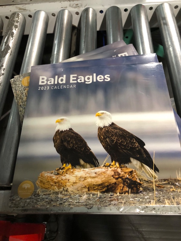 Photo 2 of 2023 Bald Eagles Wall Calendar by Bright Day, 12x12 Inch, Beautiful Wildlife Nature Bird Photography (4PACK)