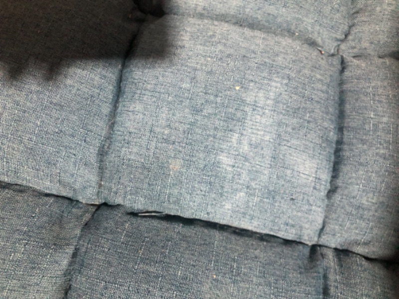 Photo 5 of *MINOR STAINS*
Luxe-Living Loungie Microplush Floor Gaming Chair BLUE