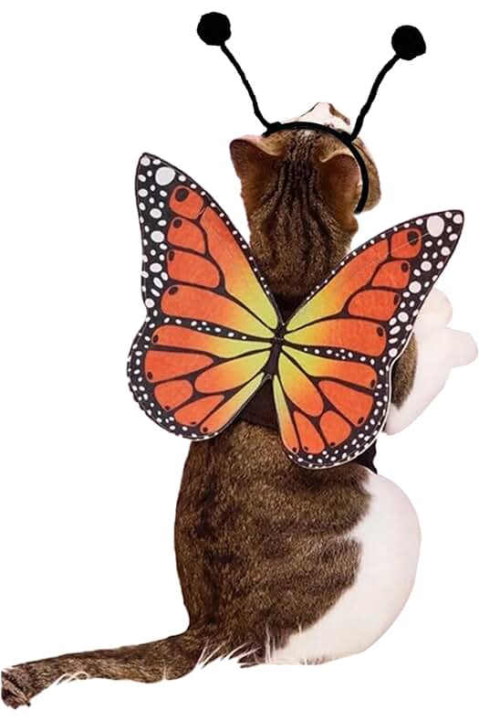 Photo 1 of 3pk-Cat Butterfly Wings Halloween 2PCS Small Do