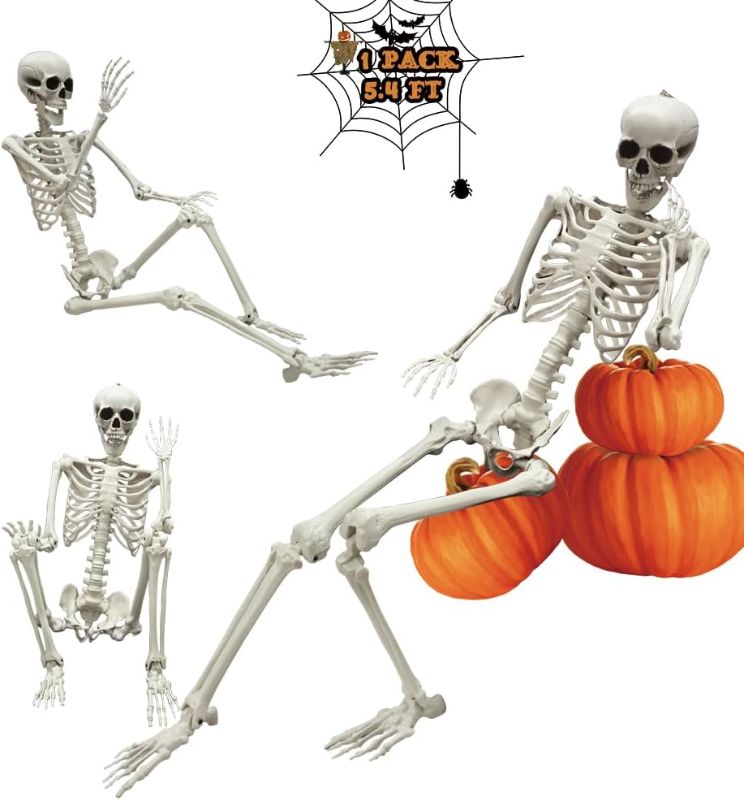 Photo 1 of **Stock photo for reference** Halloween Skeleton Decoration