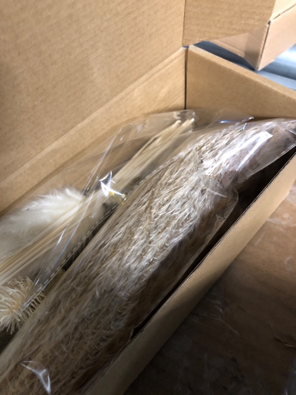 Photo 4 of ( 2pk ) 100PCS Pampas Grass Home Decor 