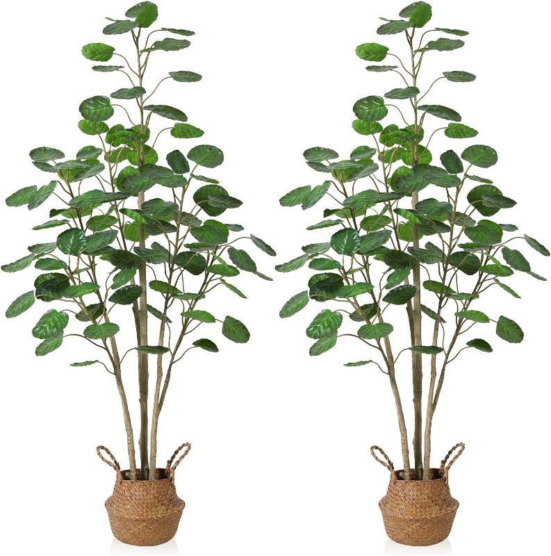 Photo 1 of 
Kazeila 2 Pack Artificial Aralia Balfour Tree