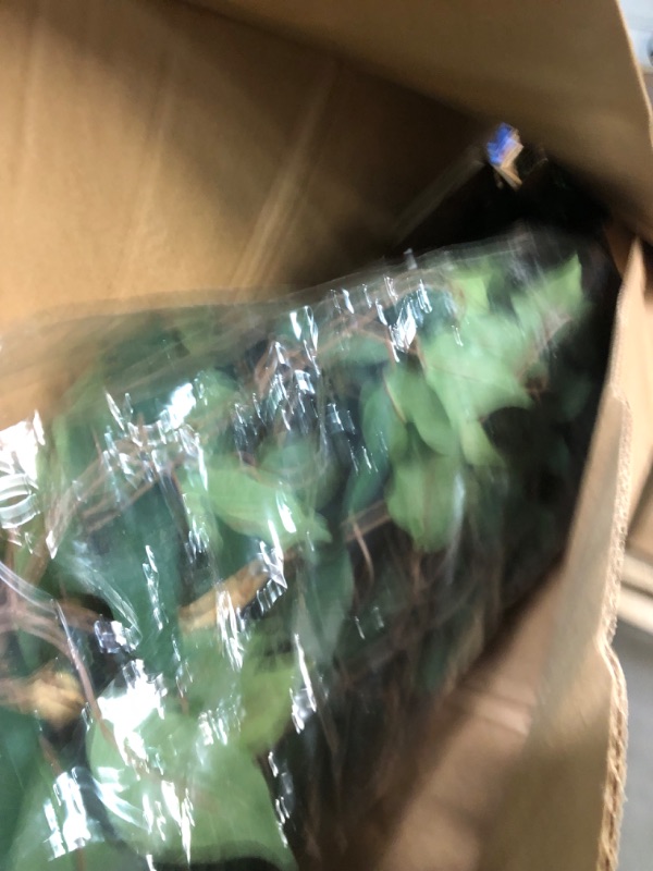 Photo 1 of Nearly Natural 7ft. Ficus Artificial Tree, Green
