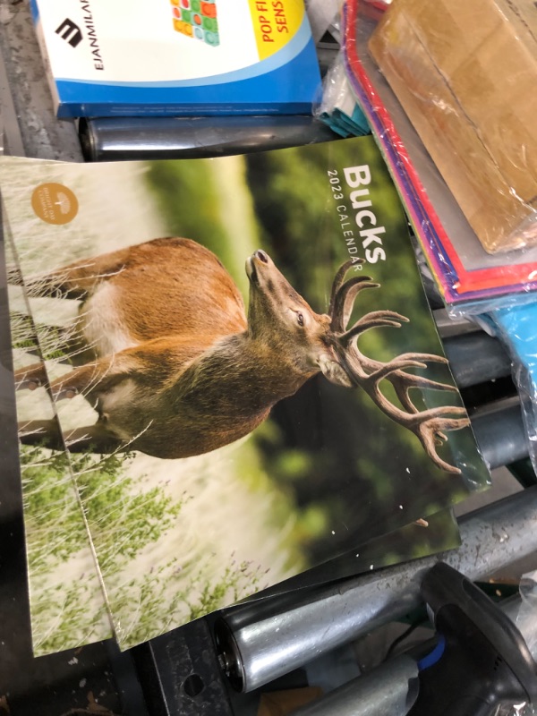 Photo 1 of 2023 Bucks Wall Calendar by Bright Day, 12x12 Inch, Deer Beautiful Wildlife Nature Animal Hunting Photography