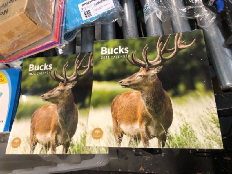 Photo 2 of 2023 Bucks Wall Calendar by Bright Day, 12x12 Inch, Deer Beautiful Wildlife Nature Animal Hunting Photography