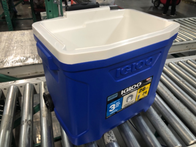 Photo 3 of **MISSING LID** Igloo Profile 28-50 Qt Commercial Grade Insulated Hardside Cooler 28 Qt Blue