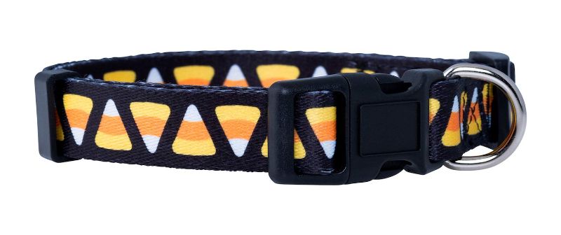 Photo 1 of (2x) Native Pup Halloween Dog Collar (Medium, Candy Corn) Medium (Pack of 1) Halloween Candy Corn