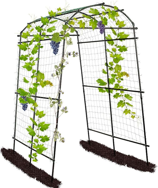 Photo 1 of  **SEE NOTES**  Garden arch trellis for climbing plants outdoor