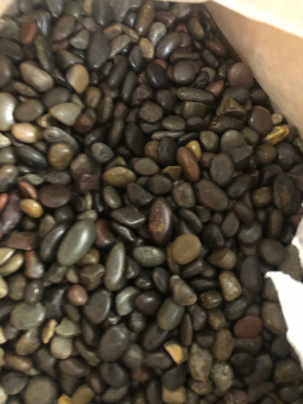 Photo 3 of .25 cu. ft. 3/8 in. Mixed Mexican Beach Pebbles Smooth Round Rock for Gardens, Landscapes and Ponds
