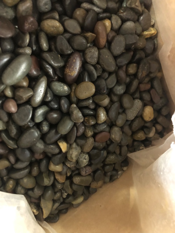 Photo 4 of .25 cu. ft. 3/8 in. Mixed Mexican Beach Pebbles Smooth Round Rock for Gardens, Landscapes and Ponds
