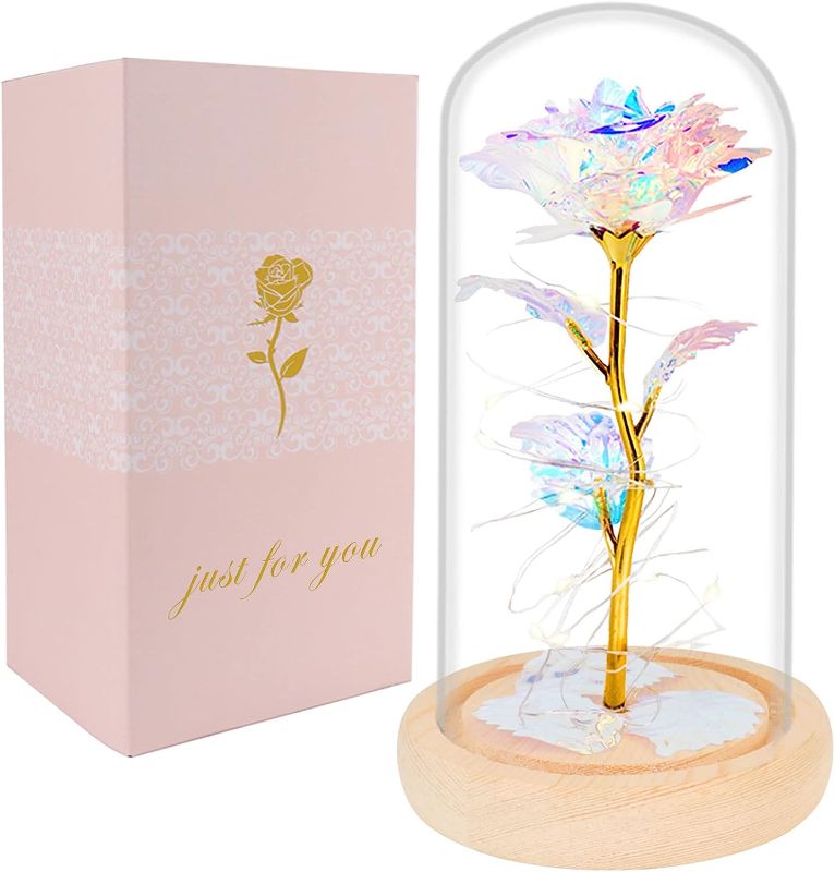 Photo 1 of  LOVE FOREVER Rose in Glass Dome Flower