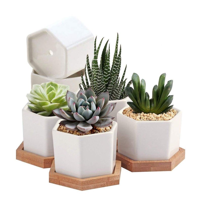 Photo 1 of **SEE NOTES** DAMAGED  3 pack Succulent Plant Pots 2.75 inch Mini Succulent Planter, white (Plants NOT Included)