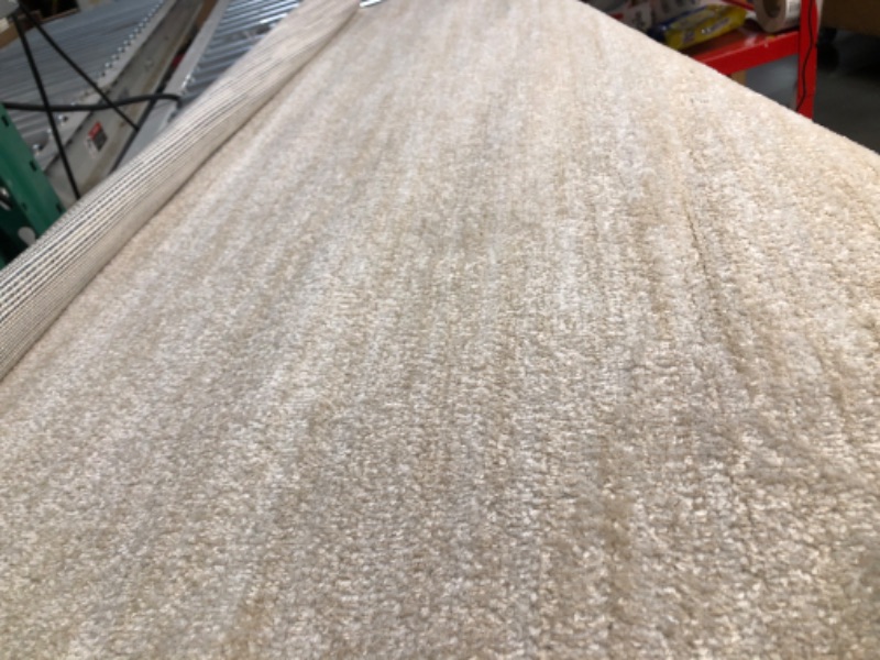 Photo 5 of ***EDGES FRAYED AND DAMAGED - SEE PICTURES***
Indoor/Outdoor Ivory Beige 4' x 6' Area Rug