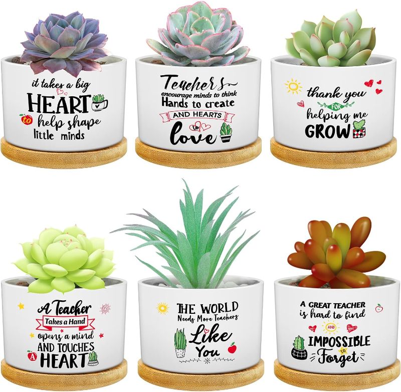 Photo 1 of 
6 Pcs Teacher Appreciation Gifts Best Ever Gift Funny Cute Succulent Plant Pot with Bamboo Tray Ceramic Planter Accessories for Women Teacher