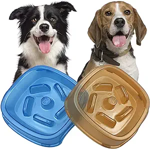 Photo 1 of  CAISHOW Slow Feeder Dog Bowl Slow Feeder Eating Slows Down Food Bowl for Small Medium Large Breed Dogs Aids in Proper Digestion Pet Bowl Slow Healthy 2pcs (Blue&Orange) 