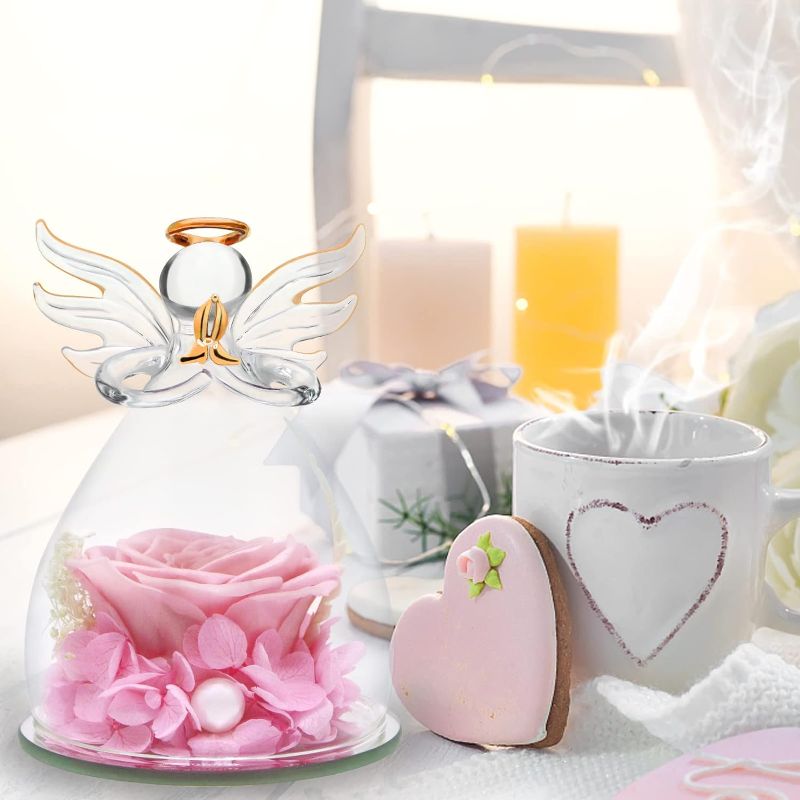 Photo 1 of 
Hifunwu Gift for Mom Wife Girlfriend Grandma, Preserved Angel Rose Gift for Mothers Day Christmas Valentine's Day Pink