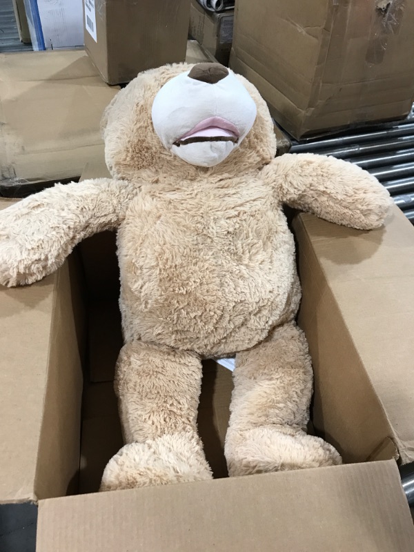 Photo 1 of 36 inch teddy bear