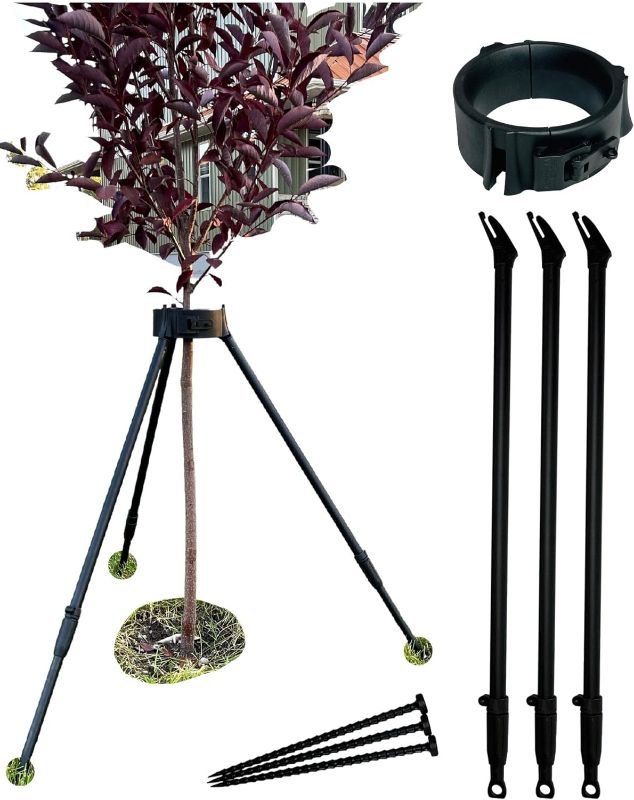 Photo 1 of 
Kradl Tree Stake Kit 