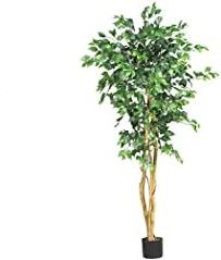 Photo 1 of  5208 Ficus Artificial Tree with Curved Trunk, 5-Feet, Green