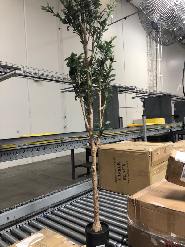 Photo 2 of 
LYERSE 7ft Artificial Olive Tree Tall Fake Potted Olive Silk Tree with Planter Large Faux Olive Branches and Fruits Artificial Tree for Office House Living...
Size:7ft