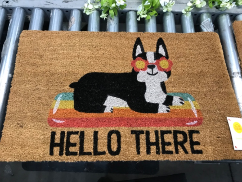 Photo 2 of 16x26 Hello Summer Dog Doormat Natural - Threshold