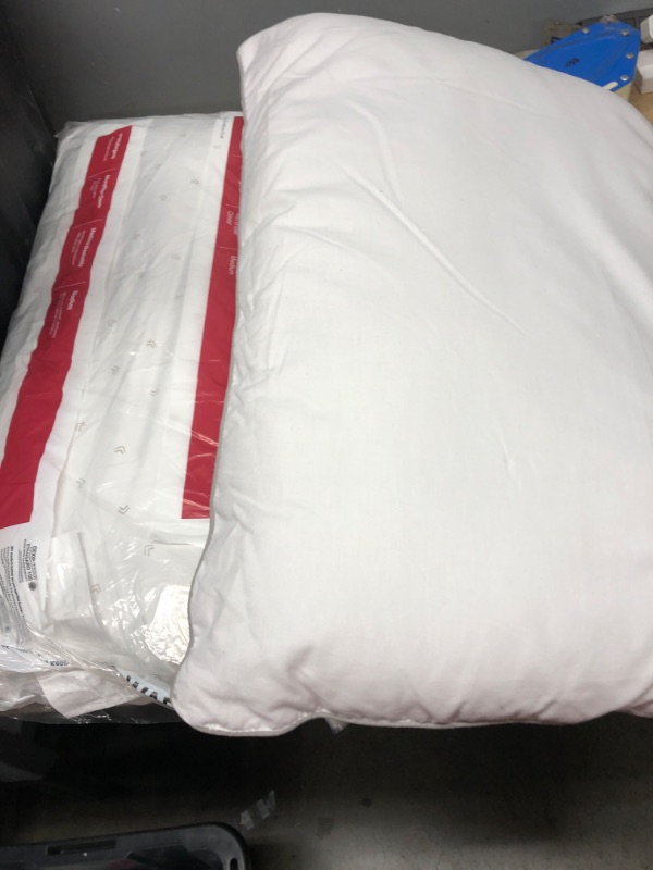 Photo 1 of **USED**  Bundle of 2 Standard/Queen White Pillows