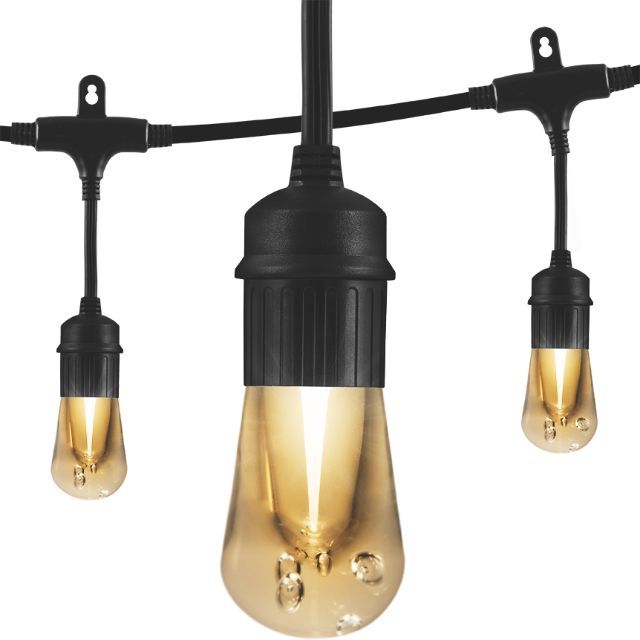 Photo 1 of 12 Bulb 24 ft. Outdoor/Indoor Black Vintage LED String Lights, Acrylic Edison Bulbs
