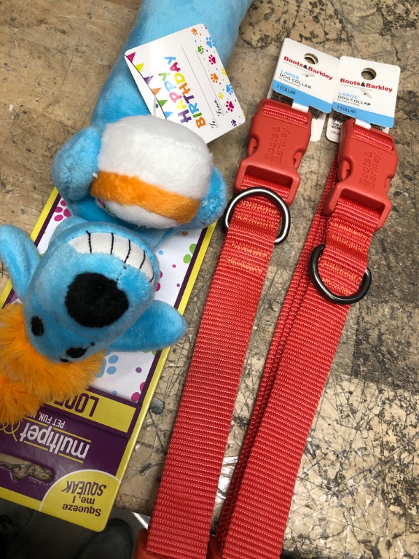 Photo 2 of 2 LARGE Basic DTM Dog Collar - L - Tomato Red - Boots & Barkley
AND 
Multipet Party Loofa Dog Toy - Blue - 12"
