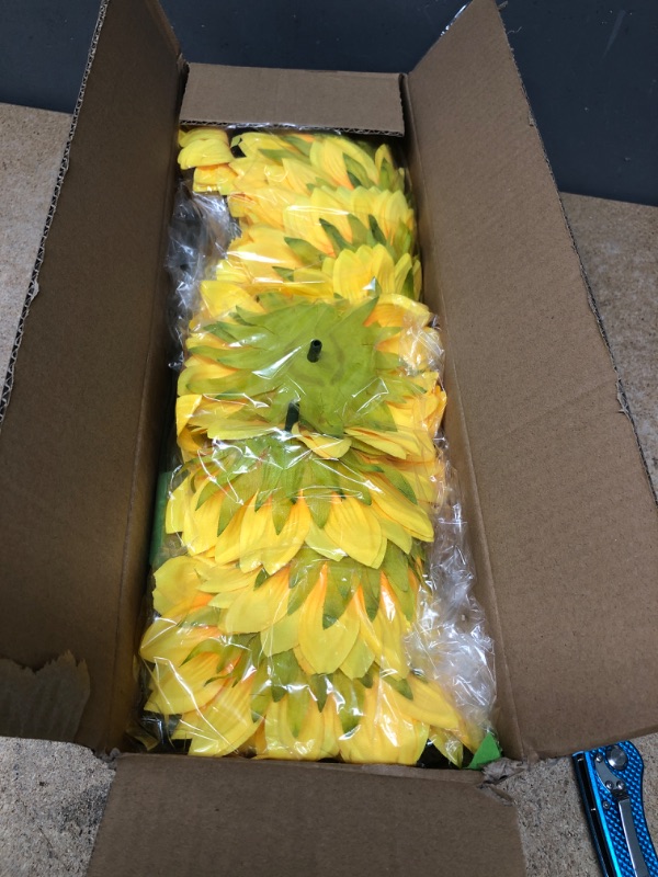 Photo 1 of BOX OF BIG YELLOW FLOWERS 