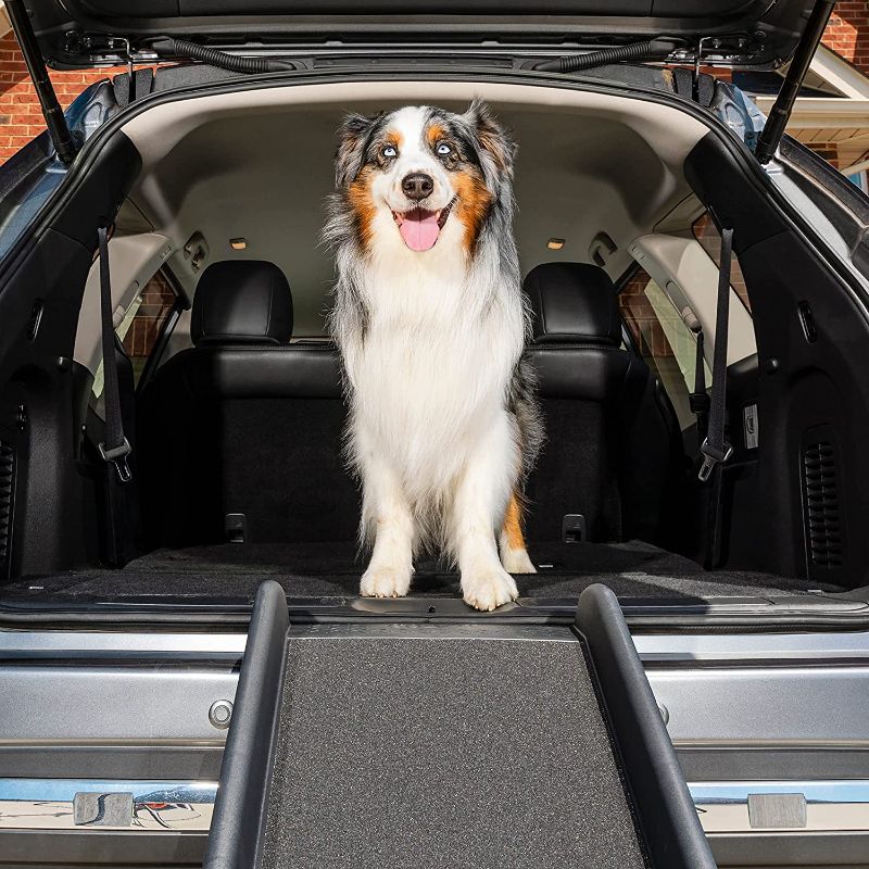 Photo 1 of  Folding Dog Ramp for Cars, Trucks, & SUVs - 62 Inch Portable Pet Ramp for Large Dogs with Siderails, Non-Slip - Weighs Only 10 lb, Supports up to 150 lb, Easy Storage, Folds in Half
