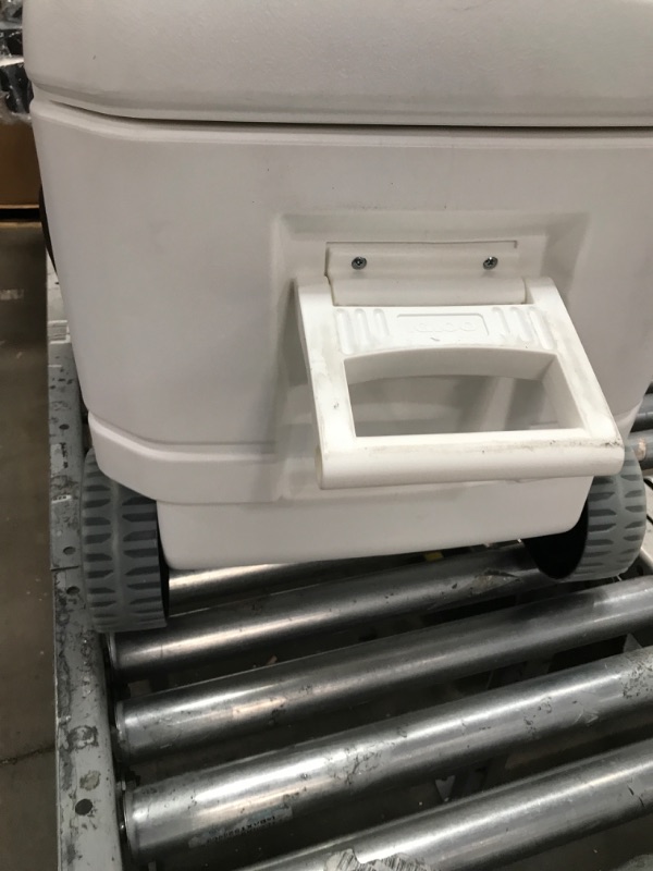 Photo 5 of **USED**  Igloo Sportsman 30-150 Qt Heavy-Duty High Performance Hardsided Coolers 110 Qt Glide White Cooler