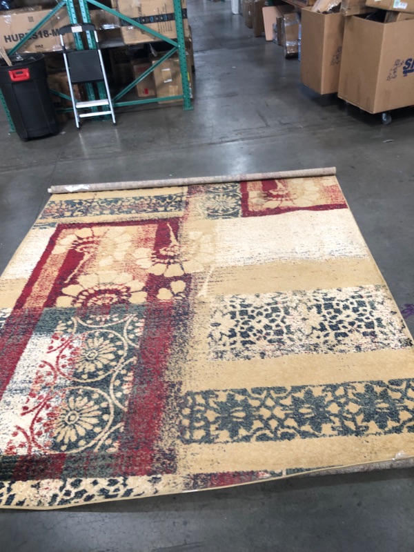 Photo 1 of 10' x 8' Brown rug
