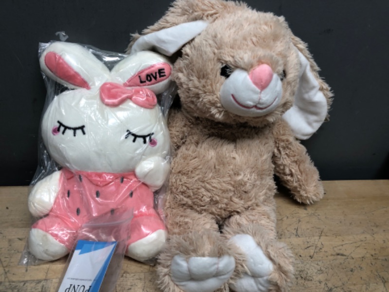 Photo 1 of BROWN BUNNY AND PINK BUNNY