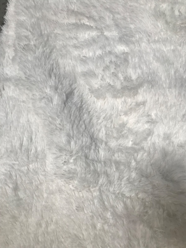 Photo 3 of **MINOR STAIN**PAGISOFE Fluffy Shaggy Area Rug, 5x8, Plush Rugs for Living Room, Fuzzy Rugs for Nursery, Furry Rugs for Girls Boys Bedroom, Shag Carpet for Dorm Room, Soft Rugs for Kids Playroom Decor, White
