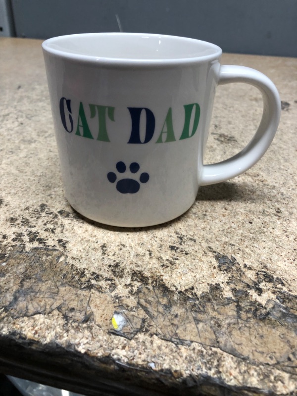 Photo 2 of 16oz Stoneware Cat Dad Mug White - Parker Lane