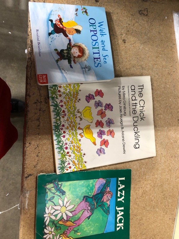 Photo 1 of 3 random children's books 
Walk and See Opposites 
Lazy Jack 
The Chick and The Duckling 