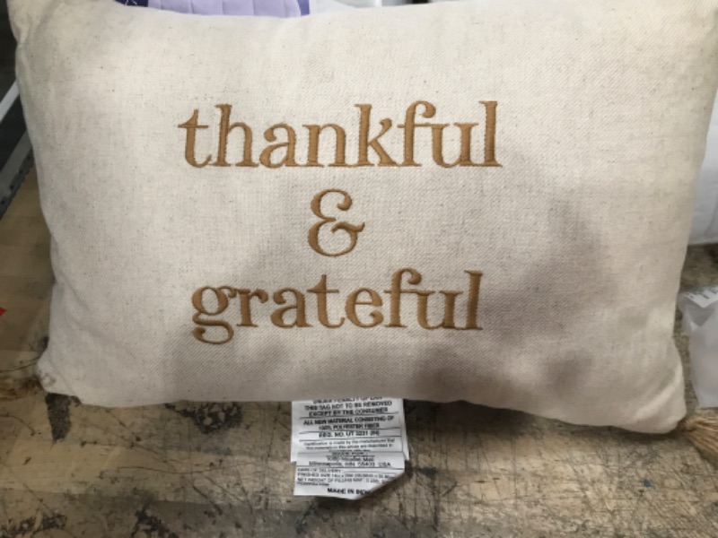 Photo 1 of &#39;Thankful &#38; Grateful&#39; Embroidered Lumbar Throw Pillow Cream/Brown - Threshold&#8482;
