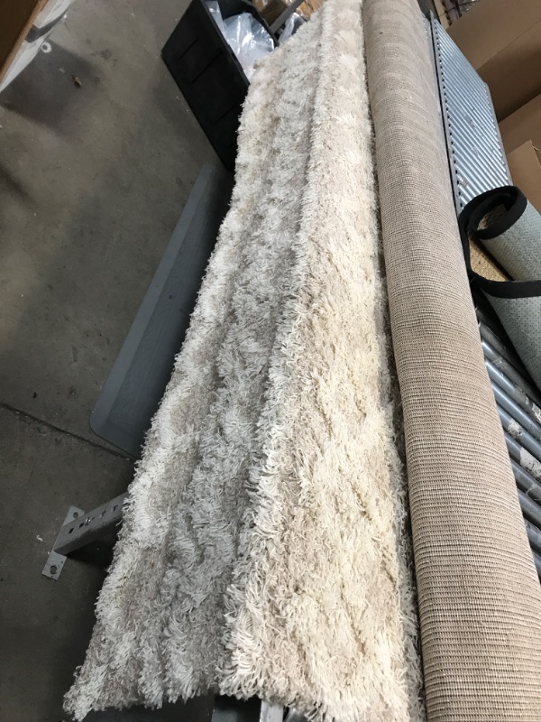 Photo 1 of **USED**   Very Large Area Rug- Beige with Cream Colored Pattern- unspecified dimensions 