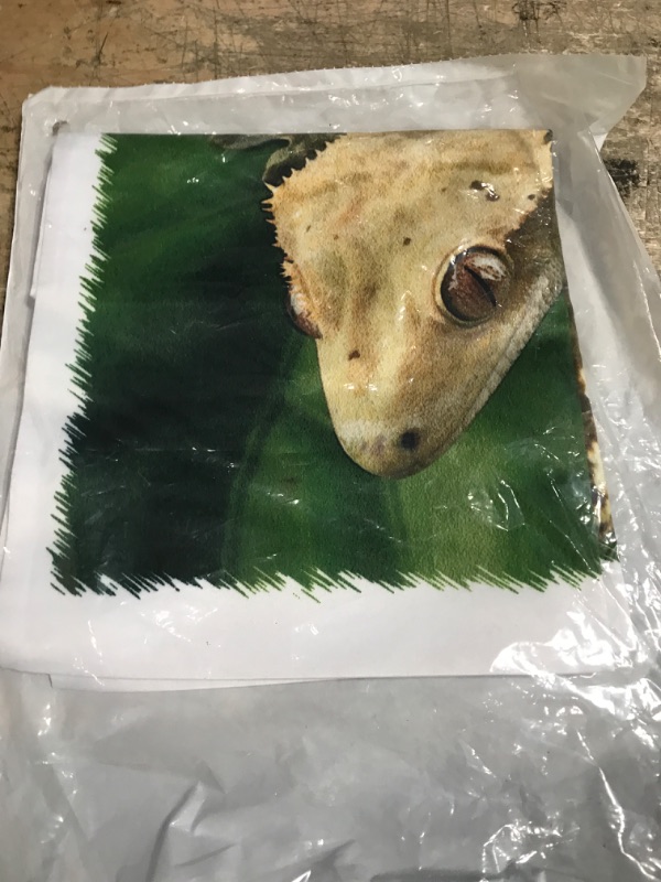 Photo 2 of 3D Rose New Caledonian Crested Gecko Lizard-Na02 Mpr0086-Maresa Pryor Design Pillowcase, 16" x 16"