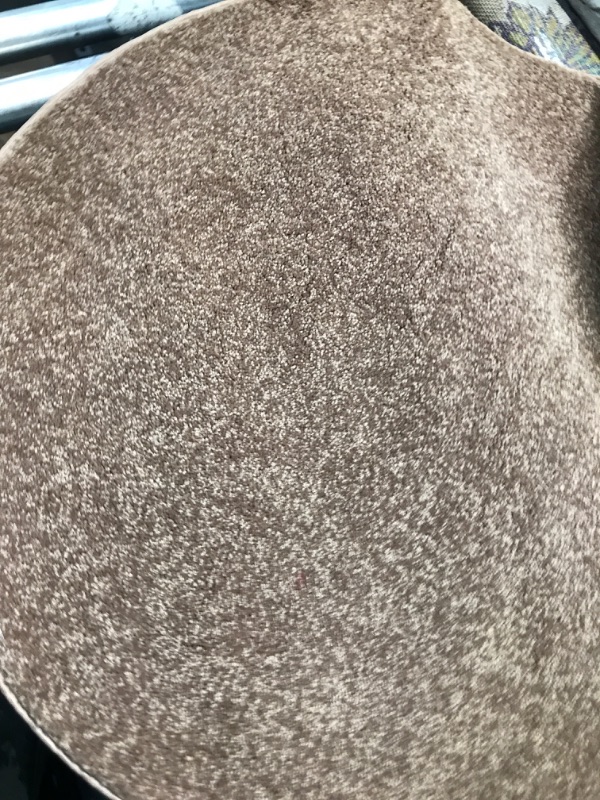 Photo 1 of 2'x10" round area rug brown 