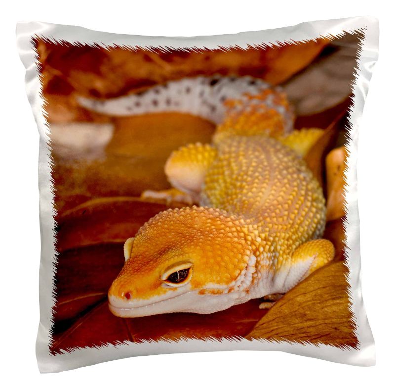 Photo 1 of 3dRose pc_73099_1 Leopard Gecko Morph, Lizard, Pakistan-AS28 AJE0000-Adam Jones-Pillow Case, 16 by 16" 16x16 inch Pillow Case 2pack