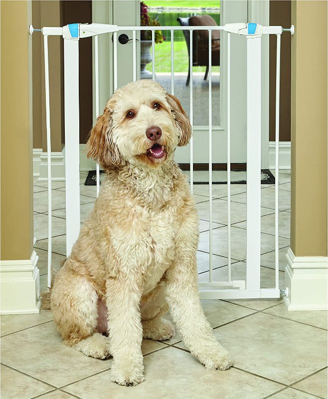 Photo 1 of 
Pet Gate | 39" High Walk-thru Steel Pet Gate by 29" to 38" Wide in Soft White 